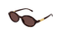 GG2153S Gucci / Havana/Brown(002) / 51-19-140