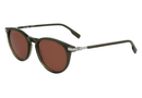 L6034S-Lacoste / Khaki(275) / 51-19-145