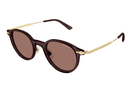 MB0362S-MontBlanc / Transparent Brown/Brown(003) / 49-22-150