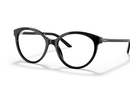 PR08YV-Prada / Black(1AB101) / 54-17-140