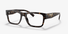 PR15YVF-Prada Optics / Havana(2AU1O1) / 56-18-145
