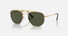 RB3648M / Polished Gold/Green(9239/31) / 52-23-145
