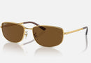 RB3732 / Polished Arista Gold/Brown Polarized(001/57) / 56-18-145