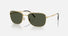 RB3755 / Polished Arista Gold/Green(001/31) / 59-19-145
