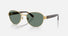 RB3766CH / Polished Arista Gold/Polarized+ Grey(001/O9) / 54-20-145