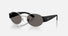 RB3770 / Polished Silver/Dark Grey(003/B1) / 54-20-140