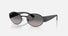 RB3770 / Polished Black/Grey Gradient Polarized(002/M3) / 54-20-140