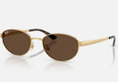 RB3774D / Polished Arista Gold/Dark Brown(001/73) / 55-19-145