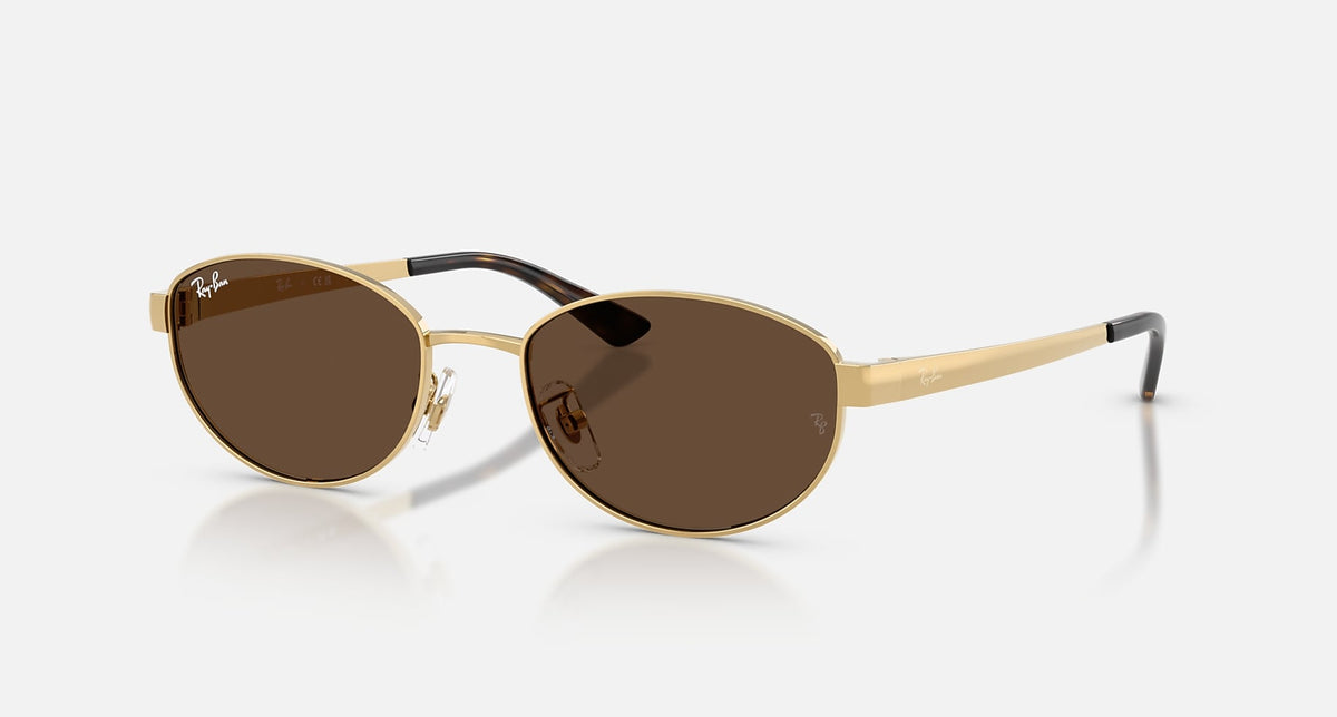 RB3774D / Polished Arista Gold/Dark Brown(001/73) / 55-19-145