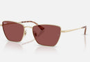 RB3783 / Polished Pale Gold/Dark Violet(921375) / 53-18-145
