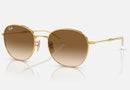 RB3809 / Polished Arista Gold/Light Brown(001/51) / 53-20-145