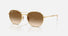 RB3809 / Polished Arista Gold/Light Brown(001/51) / 53-20-145