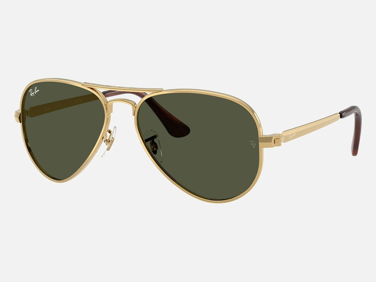 RB3925 / Polished Arista Gold/Green(001/31) / 58-16-145