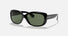 RB4101 / Polished Black/Dark Green(601) / 58-17-135