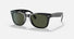 RB4105 / Polished Black/G-15 Green(601) / 50-22-140