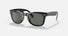 RB4105 / Polished Black/G-15 Green Polarized(601/58) / 50-22-140