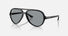 RB4125 / Polished Black/Grey(601/R5) / 59-13-140