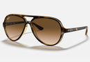 RB4125 / Polished Light Havana/Light Brown Gradient(710/51) / 59-13-140