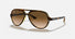 RB4125 / Polished Light Havana/Light Brown Gradient(710/51) / 59-13-140
