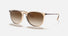 RB4171 / Polished Transparent Brown/Brown Gradient(651413) / 54-18-145