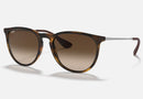 RB4171 / Matte Rubber Havana/Brown Gradient(865/13) / 54-18-145