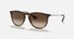 RB4171 / Matte Rubber Havana/Brown Gradient(865/13) / 54-18-145