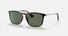 RB4187 / Polished Light Havana/Dark Green(710/71) / 54-18-145