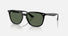 RB4362 / Polished Black/Green(601/71) / 55-18-145