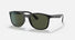 RB4374 / Polished Black/Green(601/31) / 56-19-145