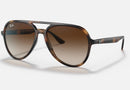 RB4376 / Polished Havana/Brown Gradient(710/13) / 57-16-145