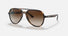 RB4376 / Polished Havana/Brown Gradient(710/13) / 57-16-145