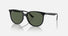 RB4378 / Polished Black/Dark Green(601/71) / 54-16-145