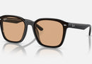 RB4392D / Polished Black/Brown(601/93) / 66-17-145