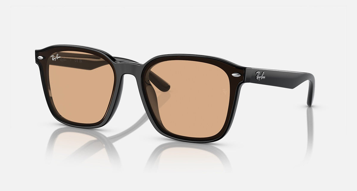 RB4392D / Polished Black/Brown(601/93) / 66-17-145
