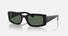 RB4395 / Polished Black/Dark Green(667771) / 54-21-140