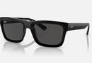 RB4396 / Polished Black/Gris oscuro(667787) / 54-20-145