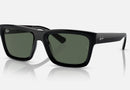 RB4396 / Polished Black/Dark Green(667771) / 54-20-145