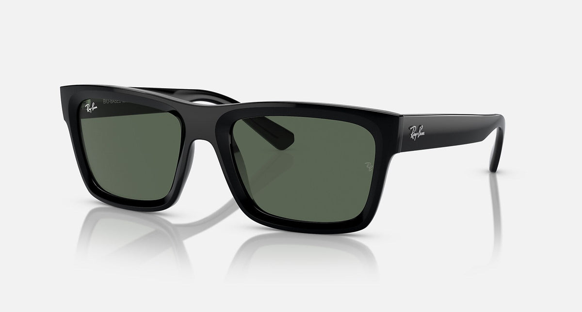 RB4396 / Polished Black/Dark Green(667771) / 54-20-145
