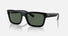 RB4396 / Polished Black/Dark Green(667771) / 54-20-145