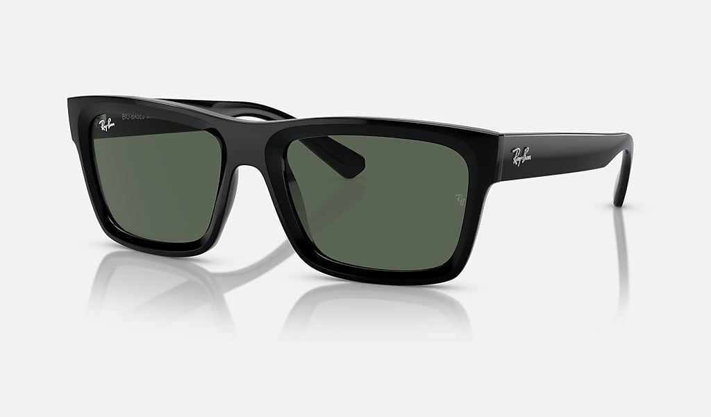 RB4396 Ray-Ban® / Black/Dark Green(667771) / 54-20-145