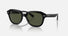 RB4398 / Polished Black/Green(901/31) / 51-20-140