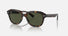 RB4398 / Polished Havana/Green(902/31) / 51-20-140