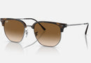 RB4416 / Polished Havana/Brown(710/51) / 53-20-145