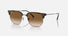 RB4416 / Polished Havana/Brown(710/51) / 53-20-145