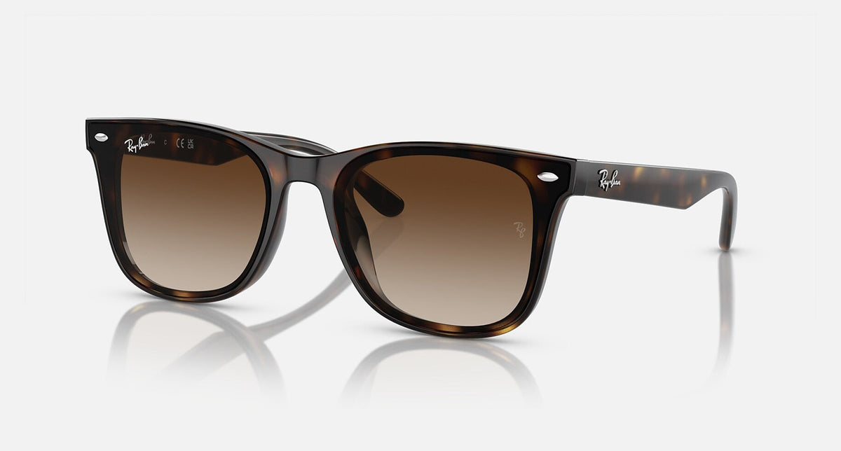 RB4420 / Polished Havana/Brown(710/13) / 65-18-145