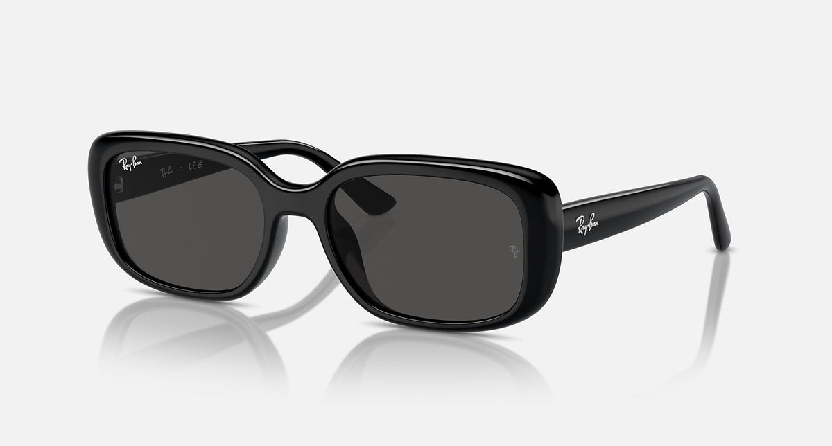 RB4421D / Polished Black/Dark Grey(667787) / 56-18-145