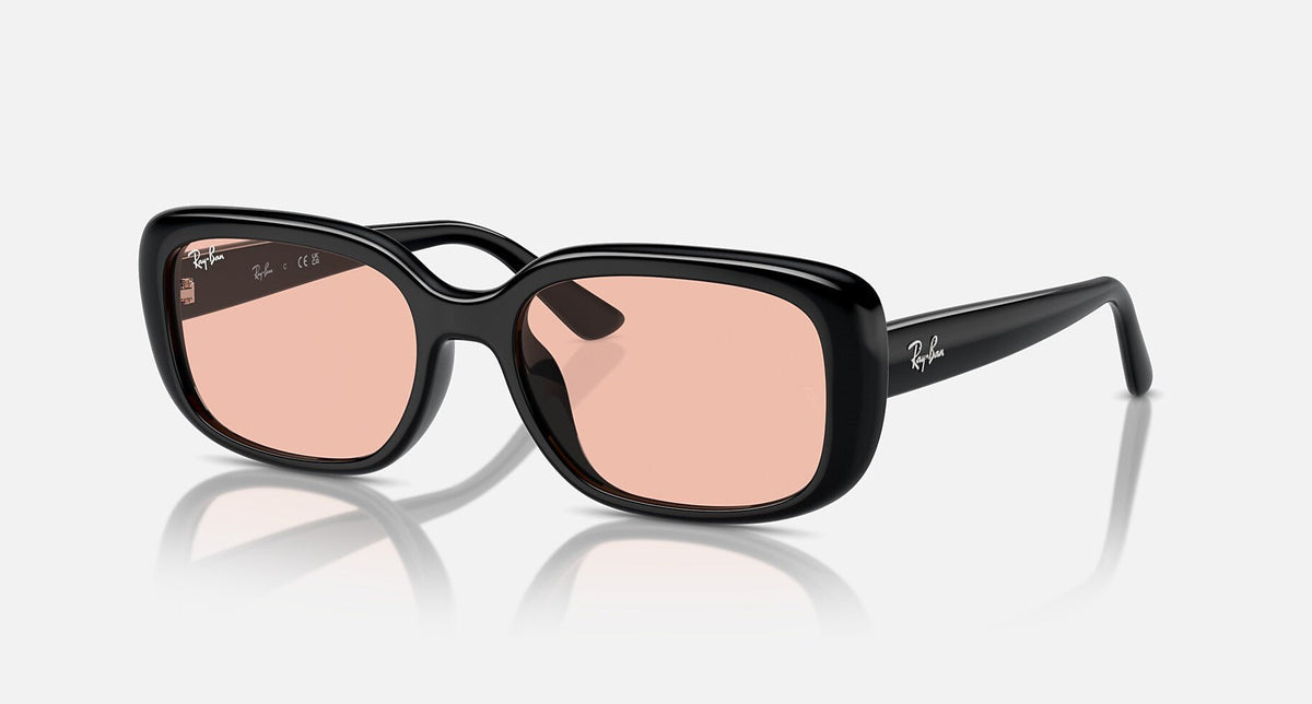 RB4421D / Polished Black/Dark Pink(667784) / 56-18-145