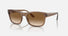RB4428 / Polished Transparent Light Brown/Light Brown(664051) / 56-21-145