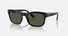 RB4428 / Polished Black/Green(601/31) / 56-21-145