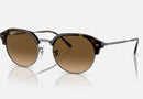 RB4429 / Polished Havana On Gunmetal/Brown Polarized(710/M2) / 53-20-145